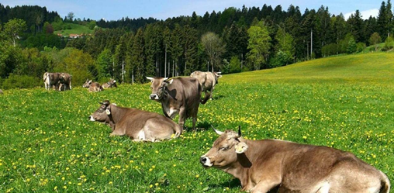 Ferienwohnung Pickenhan Scheidegg Eksteriør bilde